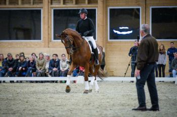 Balkenhol Hansruedi Box