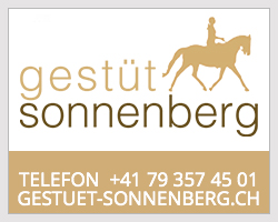 sonnenberg_banner