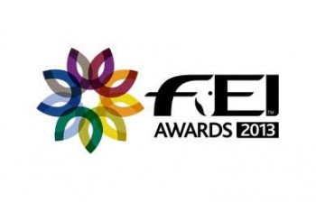 FEI-Awards-2013-thumbnail-2